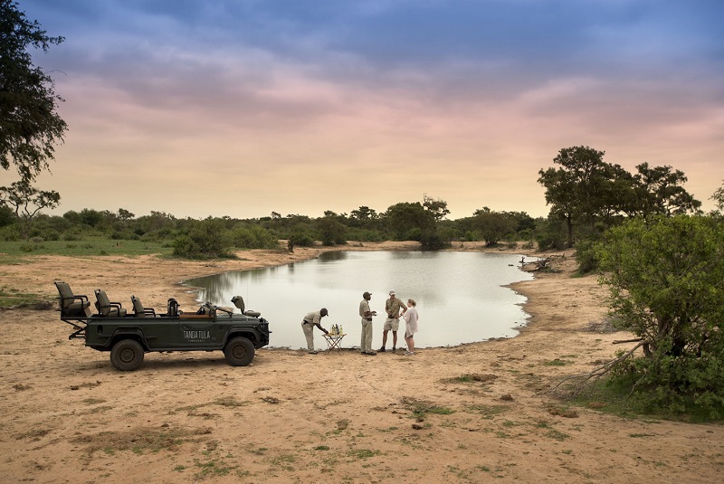 Photo of Tanda Tula Game Drive